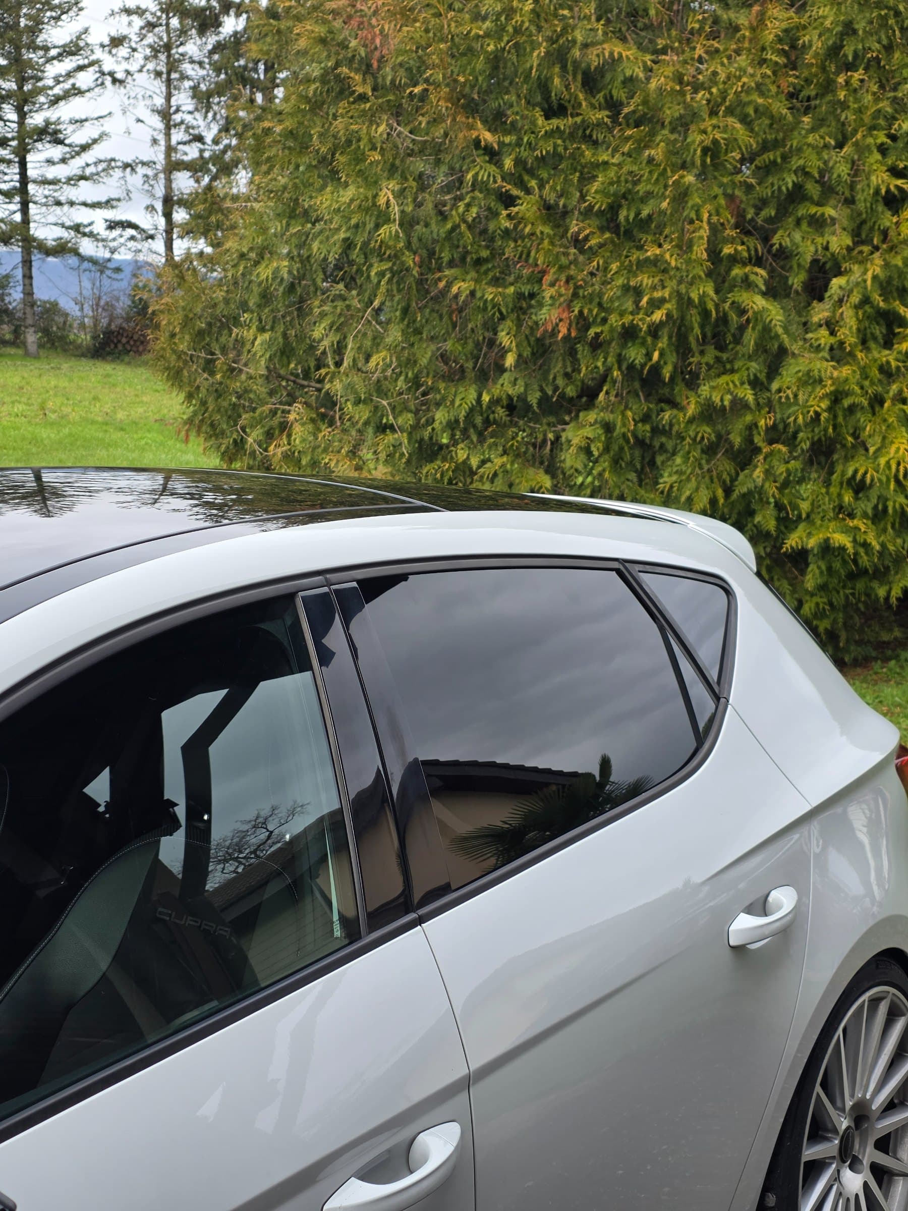 Cupra Léon- teinté 95%, vitres teintées par CreaWrap à Genève